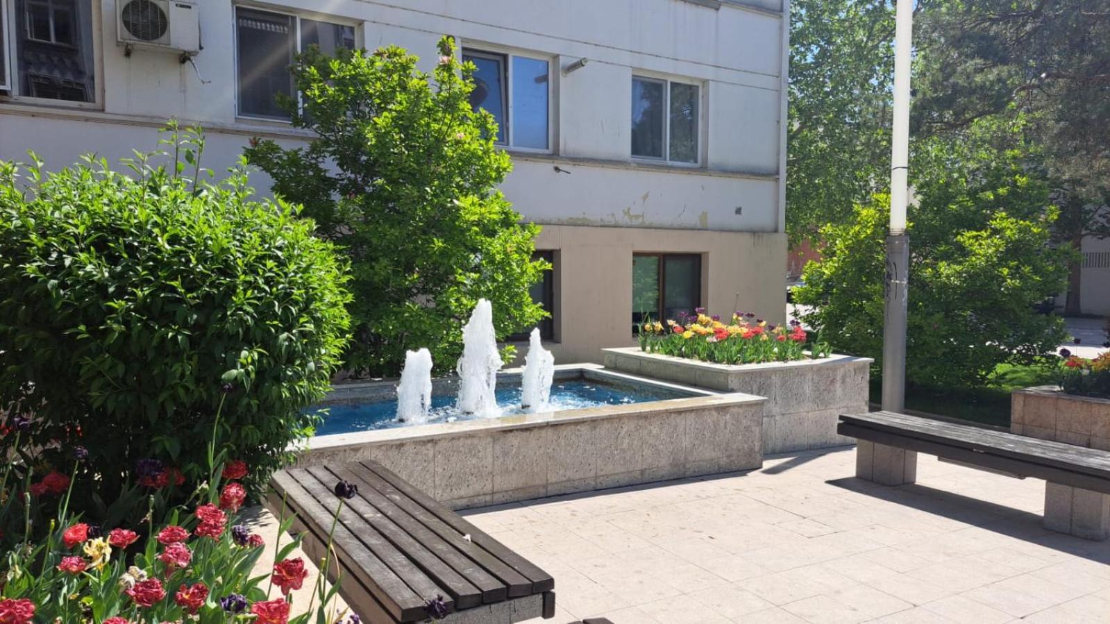 Apartament Kitty Centrul Istoric كرايوفا المظهر الخارجي الصورة