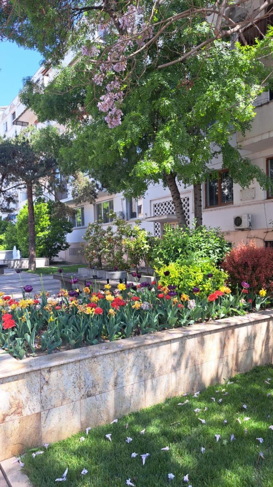Apartament Kitty Centrul Istoric كرايوفا المظهر الخارجي الصورة
